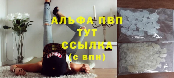 мяу мяу мука Горно-Алтайск